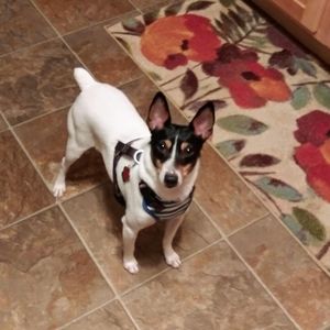 Meet your Posher, Barbara